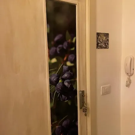 Sa Vivenda *