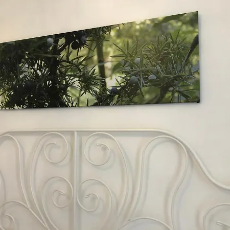 Sa Vivenda Bed & Breakfast